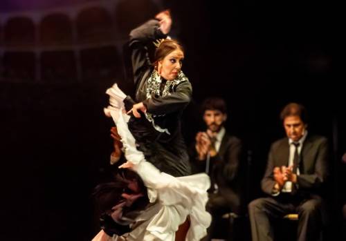 Alejandra Gudí al Baile en Alejandra Gudí