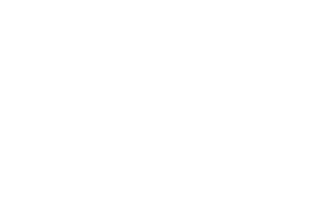 Logo TFM Lab
