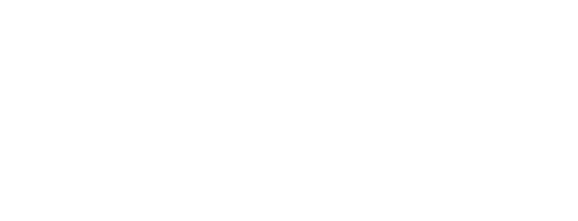 Emociones "Especial Día Internacional del Flamenco"