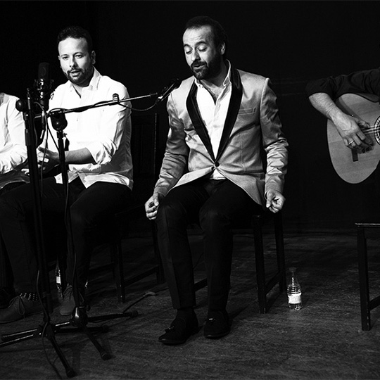 Círculo Flamenco Madrid