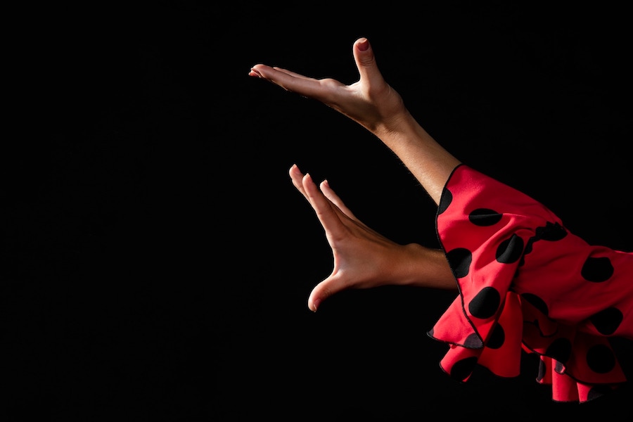 Imagen principal del artículo Influencia de la cultura gitana en la música flamenca