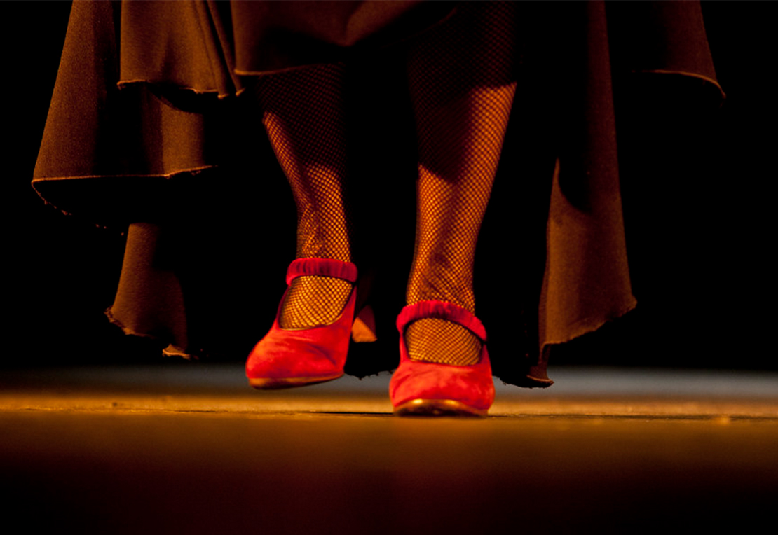 Imagen principal del artículo La importancia de los zapatos para bailar flamenco