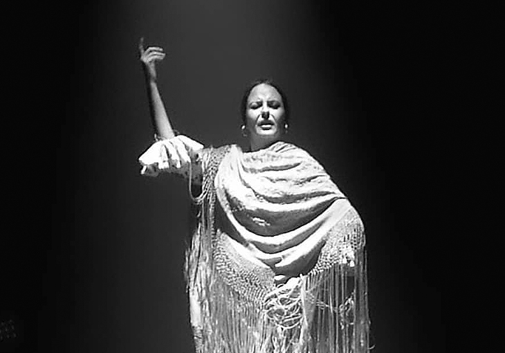 Imagen principal del artículo Alejandra Gudí: La bailaora que cautiva con su arte flamenco