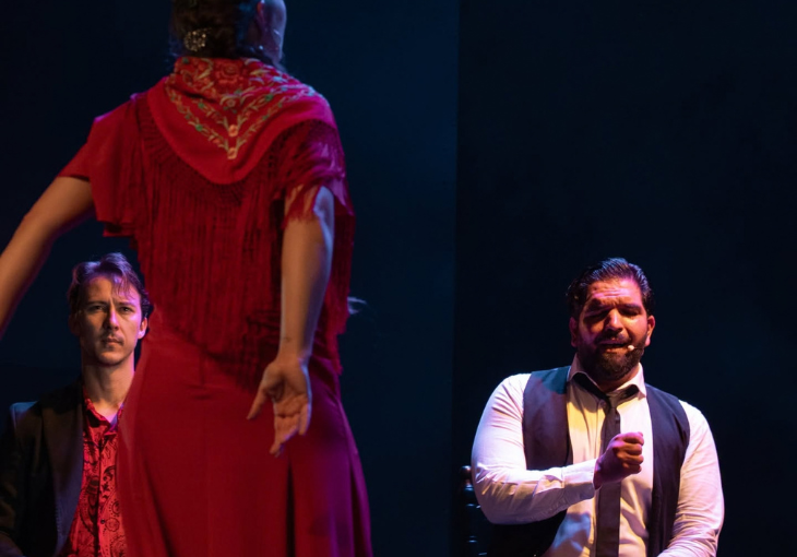 Imagen principal del artículo ¿Cómo se comunican los artistas durante un espectáculo flamenco?
