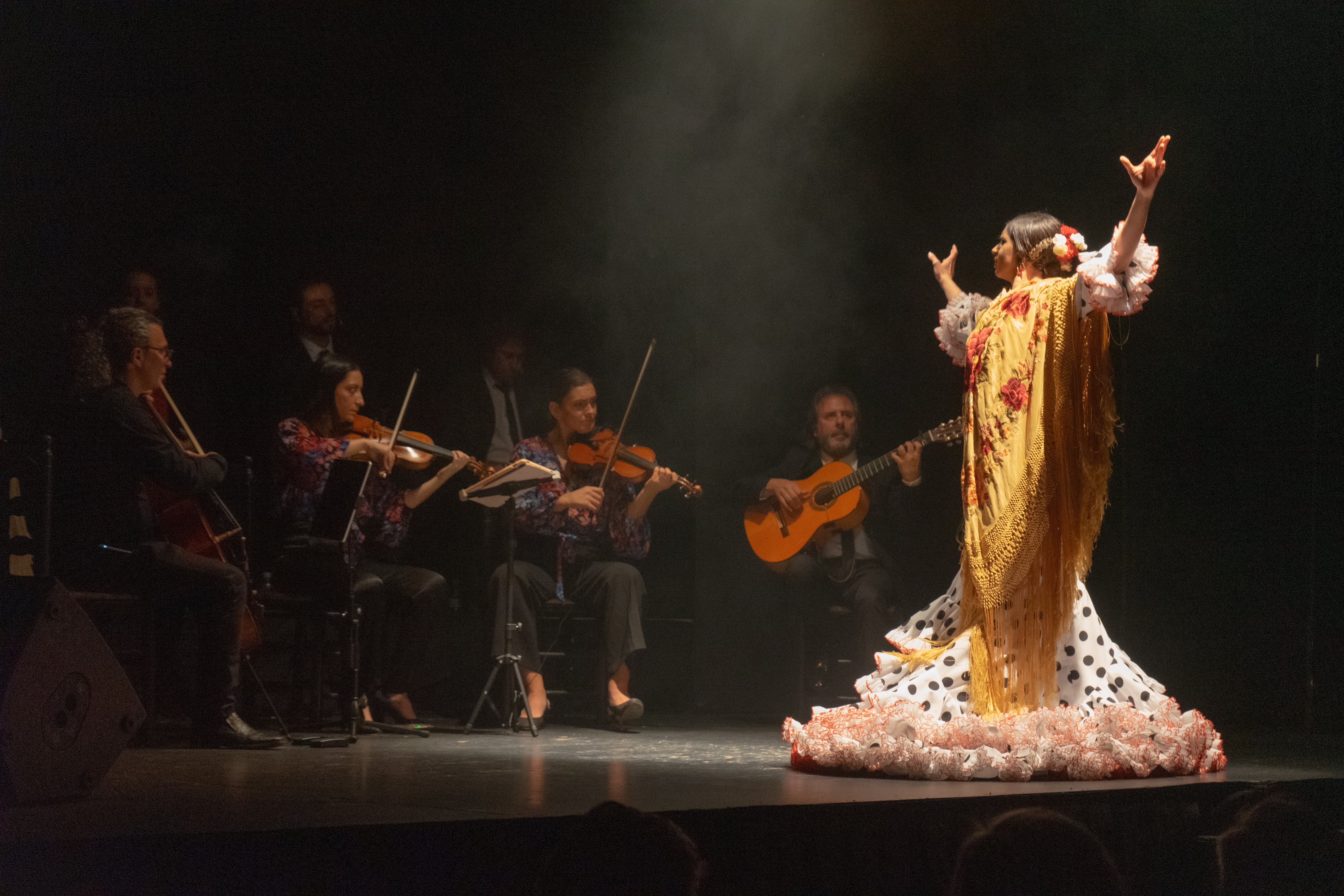 Imagen principal del artículo Emoción en estado puro en Teatro Flamenco Madrid