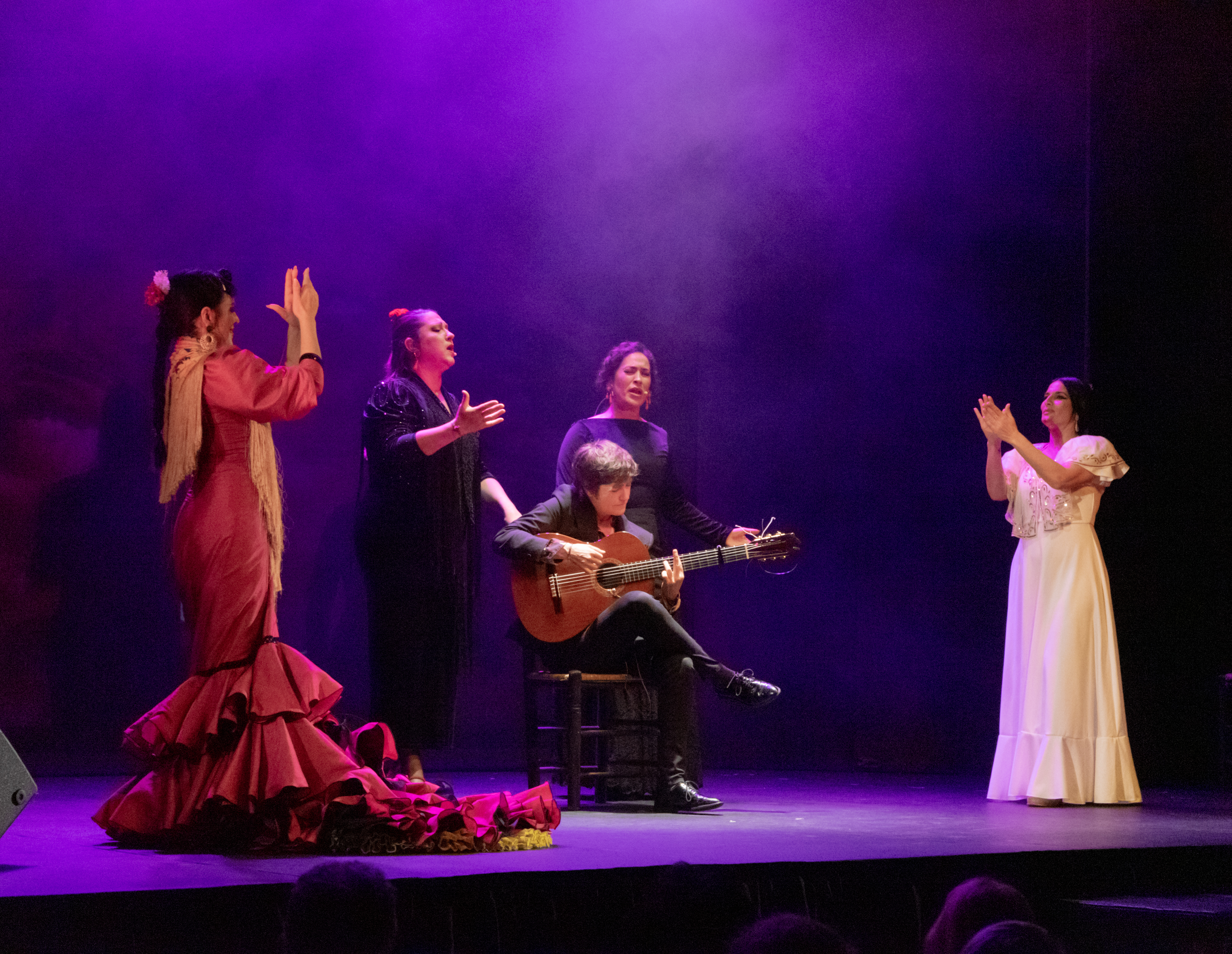 Imagen principal del artículo Emociones: Con Nombre de Mujer - Un Homenaje Flamenco en el Día de la Mujer