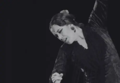 Main image from article Isabel Rodríguez: strength and flamenco elegance