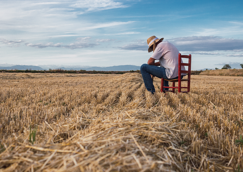Imagen principal del artículo Las trilleras: el cante que nació en los campos y encontró su lugar en el flamenco
