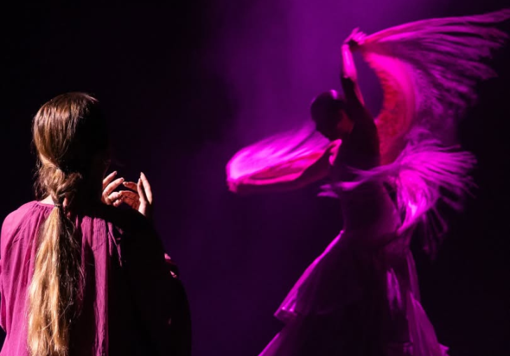 Imagen principal del artículo Los palos flamencos ideales para iniciarse en el flamenco