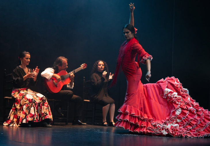 Imagen principal del artículo Madrid, capital del flamenco: por qué artistas de toda España terminan actuando aquí