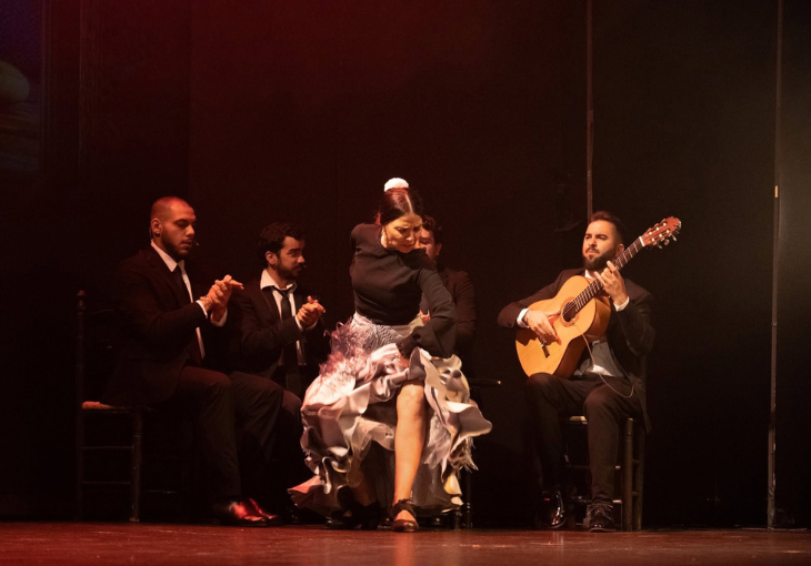 Imagen principal del artículo ¿Por qué cada espectáculo flamenco en directo es diferente?